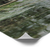 Zweigstelle im Flachwasser Poster (Ecke)