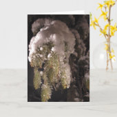 Zweigstelle Kiefernbaum, bedeckt in einem schneewe Karte (Gelbe Blume)