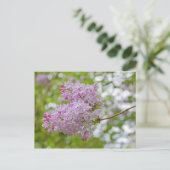 Zweigstelle Lilac mit Bokeh Postcard Postkarte (Stehend Vorderseite)