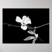 Zweigstelle Magnolia Poster (Vorne)