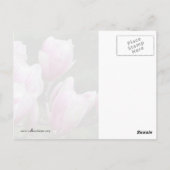 Zweigstelle Magnolia Postkarte (Rückseite)