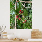 Zweigstelle Mullberry Poster (Küche)