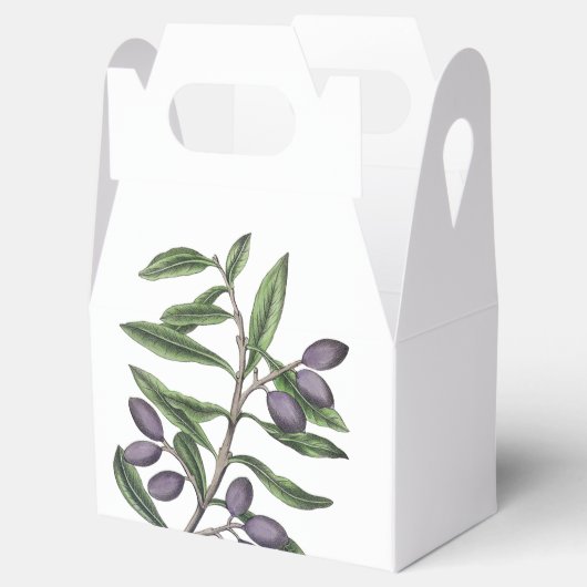 Zweigstelle Olivenbaum | Lila grün Geschenkschachtel (Geöffnet)