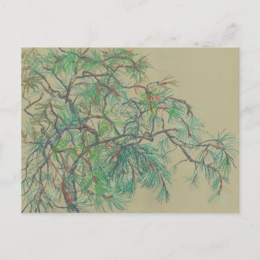 Zweigstelle Pine Tree, Blumenart Northern Botany G Postkarte (Vorderseite)