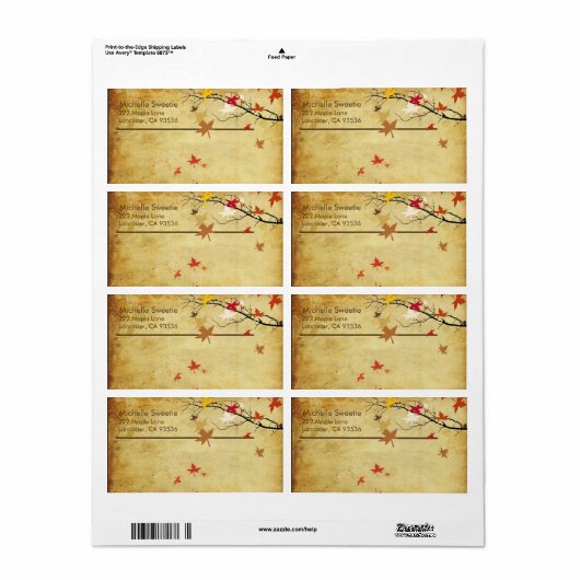 Zweigstelle PixDezines (Vorne)