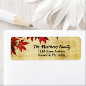 Zweigstelle schöner japanischer Ahorn-Blätter (Insitu)