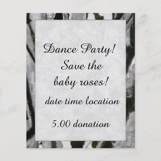 Zweigstellen der gedeckten Rose Flyer (Vorne)