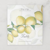 Zweigstellen des Weißen und Gelben Landes Tischnum Platzkarte (Außenseite Aufgefaltet)