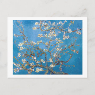 Zweigstellen mit Almond Blossom Van Gogh Postkarte