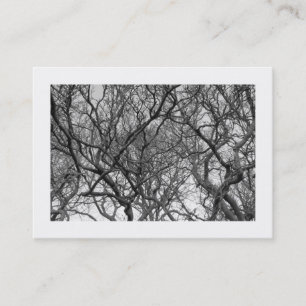 Zweigstellen von Magnolia Tree B&W (besetzt) Visitenkarte