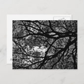 Zweigstellenkarte Postkarte (Vorne/Hinten)