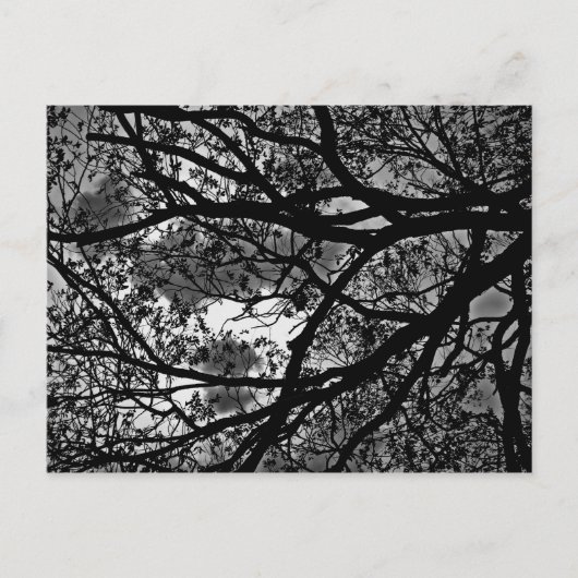 Zweigstellenkarte Postkarte (Vorderseite)