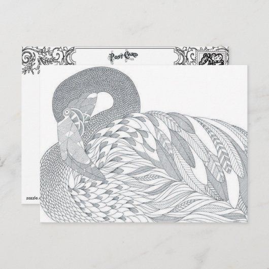 zweiseitige farbige Postkartengabe für Schwäne Postkarte (Vorne/Hinten)