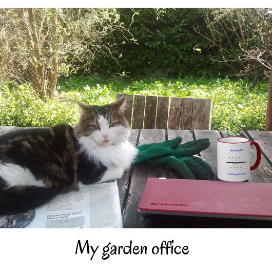 zweiseitiger individuelle Name, Bow 2 Crew Kaffeetasse