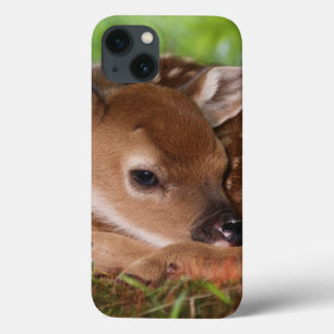 Zweitägiges altes Weiß-angebundenes Rotwildbaby, Case-Mate iPhone Hülle