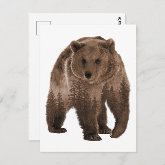 Zweite Exposition Braunbärenwald Postkarte (Vorne/Hinten)