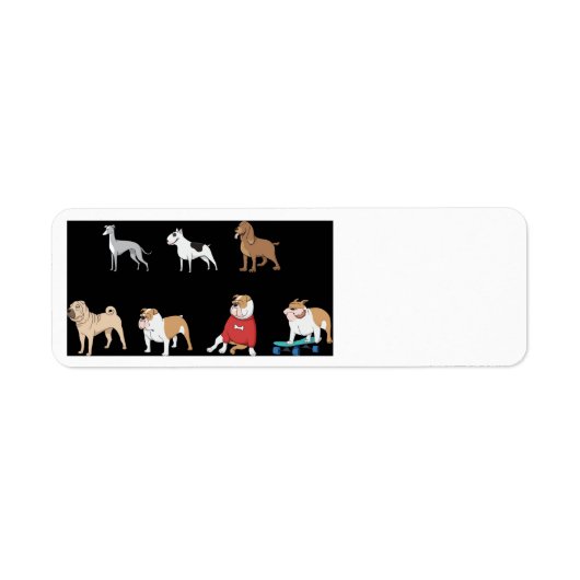 Zweiter Hund (Vorne)