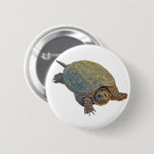 Zwerchschildkröte - Serpentina Chelydra Button (Vorne & Hinten)