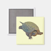 Zwerchschildkröte - Serpentina Chelydra Magnet (Vorderseite/Rückseite)