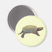 Zwerchschildkröte - Serpentina Chelydra Magnet (Vorderseite/Rückseite)