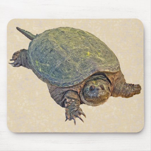 Zwerchschildkröte - Serpentina Chelydra Mousepad (Vorne)