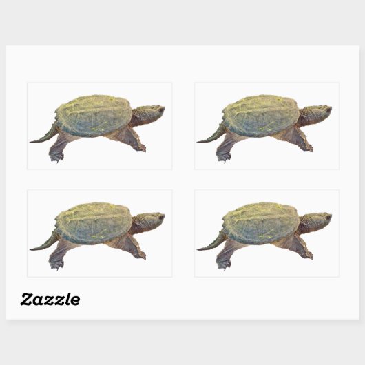 Zwerchschildkröte - Serpentina Chelydra Rechteckiger Aufkleber (Blatt)