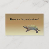 Zwerchschildkröte - Serpentina Chelydra Visitenkarte (Rückseite)