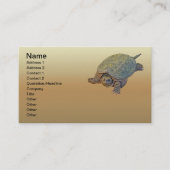 Zwerchschildkröte - Serpentina Chelydra Visitenkarte (Vorderseite)