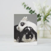 Zwerg-ohriges Kaninchen, das über mit Hängeohren Postkarte (Stehend Vorderseite)