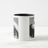 Zwerg-ohriges Kaninchen, das über mit Hängeohren Tasse (Zentrum)