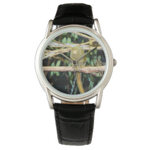 Zwergäffchen auf einem Ast sitzend, Armbanduhr