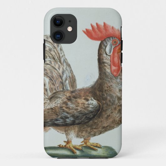 Zwergartiger junger Hahn, c.1767-76 (Hand farbiger Case-Mate iPhone Hülle (Rückseite)