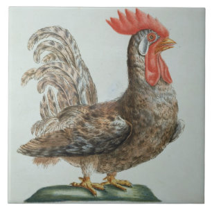 Zwergartiger junger Hahn, c.1767-76 (Hand farbiger Fliese