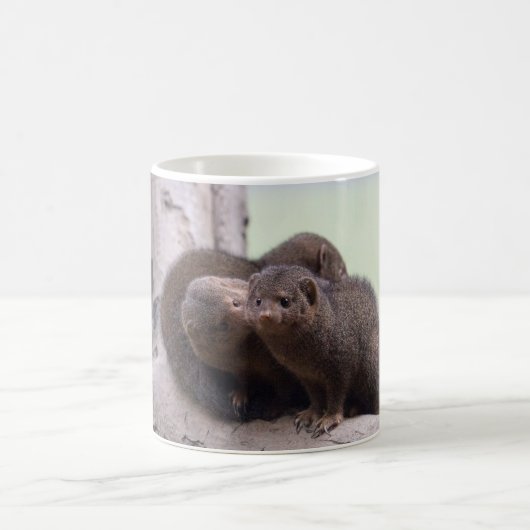 Zwergartiger Mungo-Kuss Kaffeetasse (Mittel)