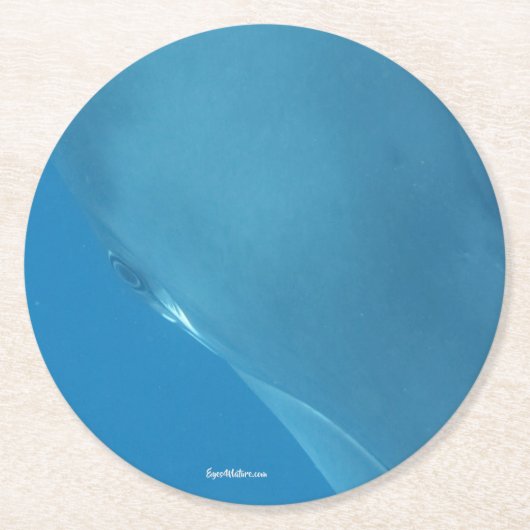 Zwergartiges Minkwal Auge Runder Pappuntersetzer (Vorderseite)