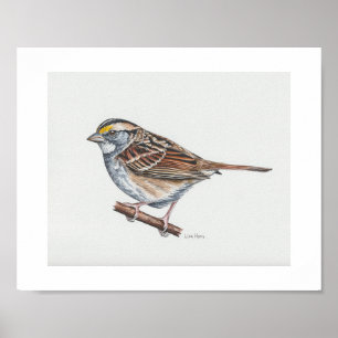 Zwergdruckkunst Poster