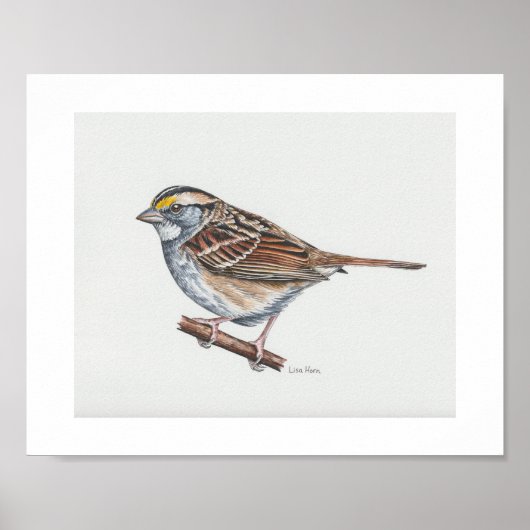 Zwergdruckkunst Poster (Vorne)