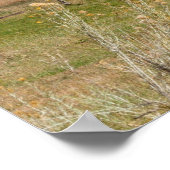 Zwergfelsen im Unaweep Canyon Poster (Ecke)