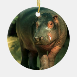 Zwergflusspferd (Choeropsis liberiensis) Keramikornament