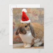 Zwerghase Postkarte (Vorne/Hinten)