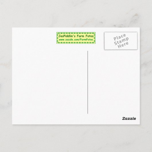 Zwerghase Postkarte (Rückseite)