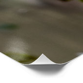 Zwergheron Poster (Ecke)