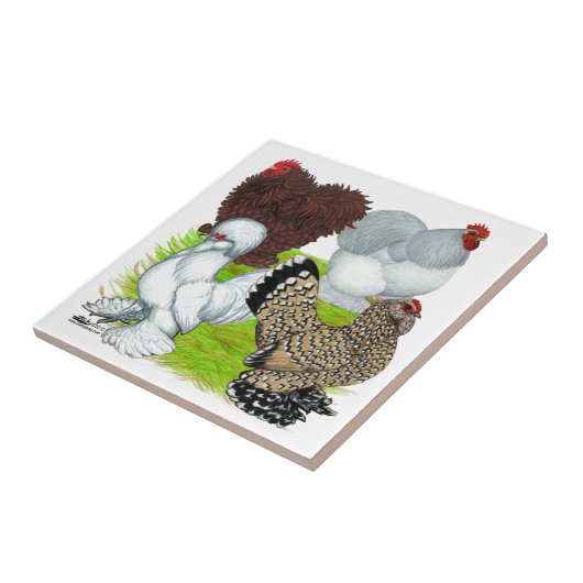 Zwerghuhn-Feder mit Beinen versehen Fliese (Seite)