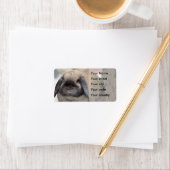 Zwergkaninchen Adressaufkleber (Insitu)