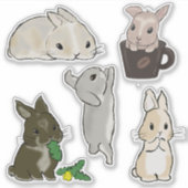 Zwergkaninchen Sammlung  Aufkleber (Vorderseite)