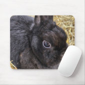 Zwergkaninchen Schwarze Niederlande Mousepad (Mit Mouse)