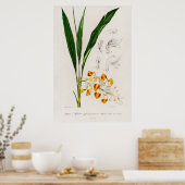 Zwergkardamom (Alpinia nutans) Poster (Küche)