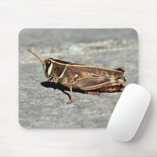 Zwergmäuse Mousepad (Mit Mouse)