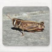 Zwergmäuse Mousepad (Vorne)