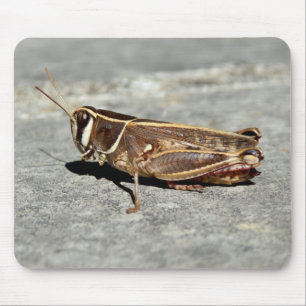 Zwergmäuse Mousepad